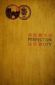 Cover of Perfection City — Themes and Context
