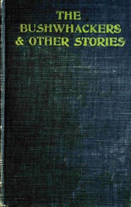 Cover of The bushwhackers & other stories — Story, Setting & Ideas