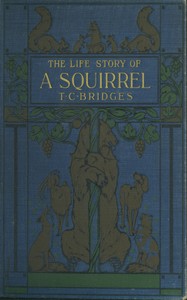 Cover of The life story of a squirrel — A...